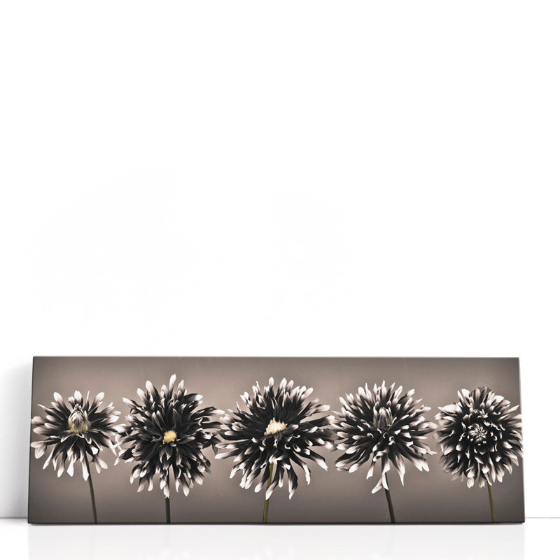 Cinq dahlias d'affilée en noir et blanc - reproduction d'art sur toile, H 8 po x l 24 po
