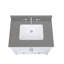 25'' W Single Vanity Top-1592074765
