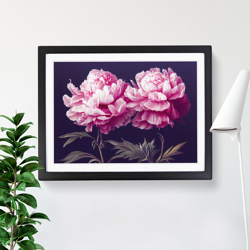 Splendorous Peony Flowers - Framed Print, Black, 34cm H x 46cm W x 2cm D