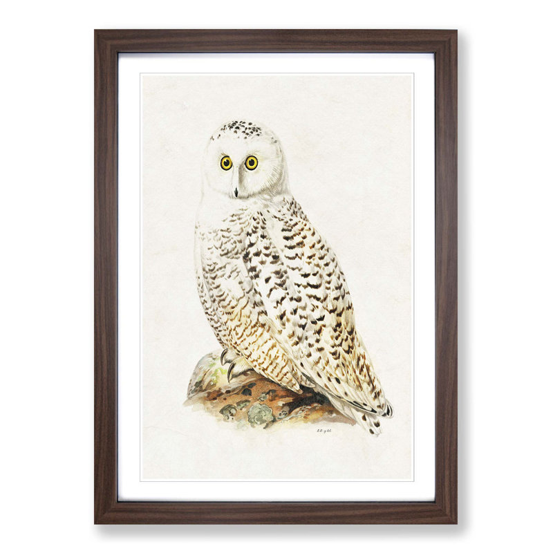 Snowy Owl by Von Wright - Picture Frame Painting Print on MDF, 65cm H x 48cm W x 2cm D, Walnut Framed
