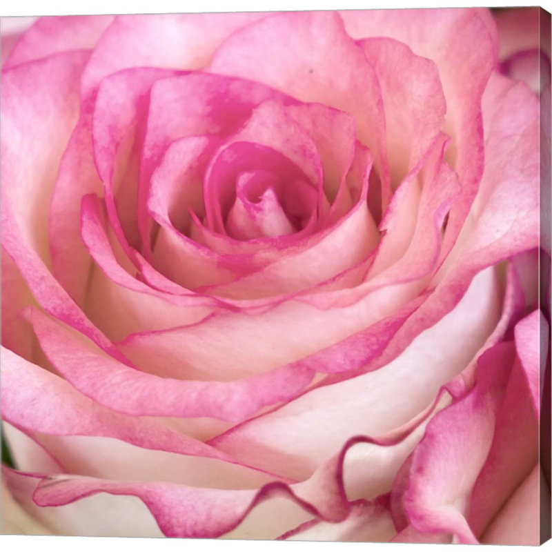 Décoration murale rose Force