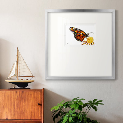 " Wings I "
