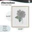  Hortensia croquis, impression encadrée sous verre, design par Cecilia Battaini-1209307019-1209307016