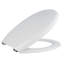 Corsi Elongated Toilet Seat