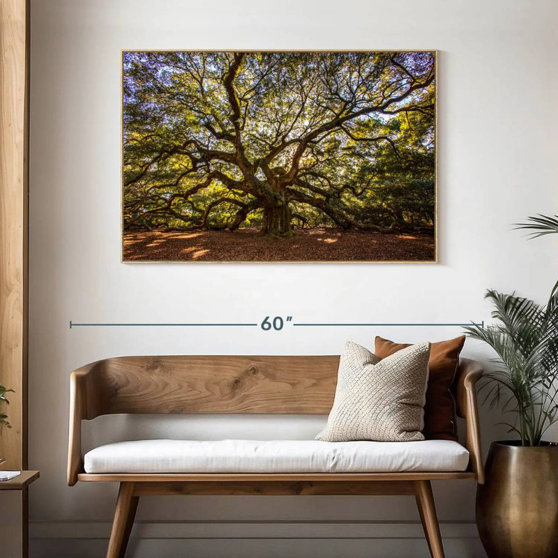Chêne ange noueux, Cadre flottant en bois naturel, 46 po x 31 po