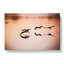 A Flock of Pelicans - Wrapped Canvas-55368289