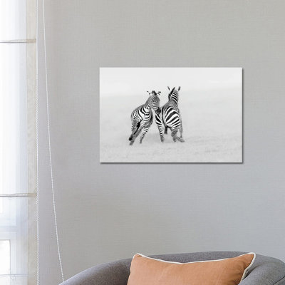 Playing Or Fighting? by Jun Zuo - Wrapped Canvas Print