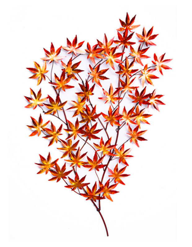 Décoration murale late automne