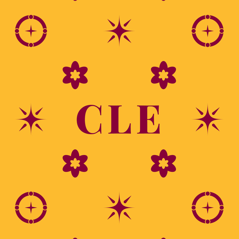 Coussin en coton et coton Cleveland Basketball