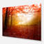 «Yellow Sun Rays in Red Forest», reproduction de photo sur toile tendue-18438067-33219968