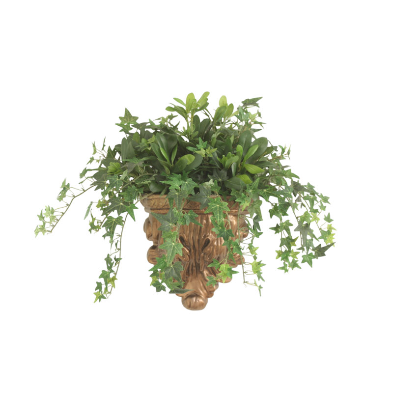 Mini lierre mélangé avec Pittosporum dans une applique murale, Doré