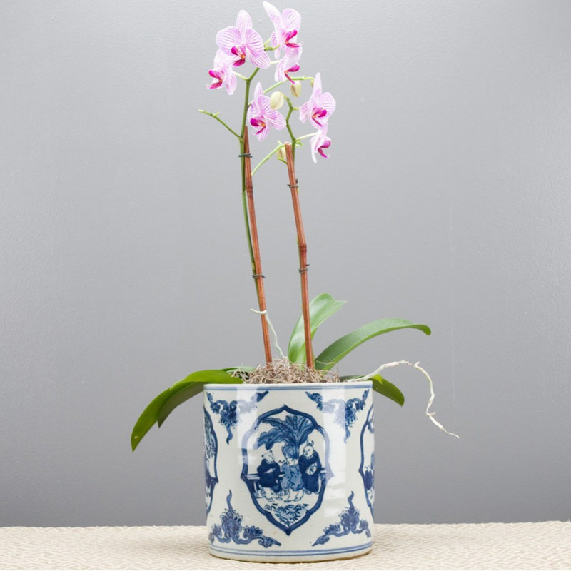Handmade Ceramic Pot Planter