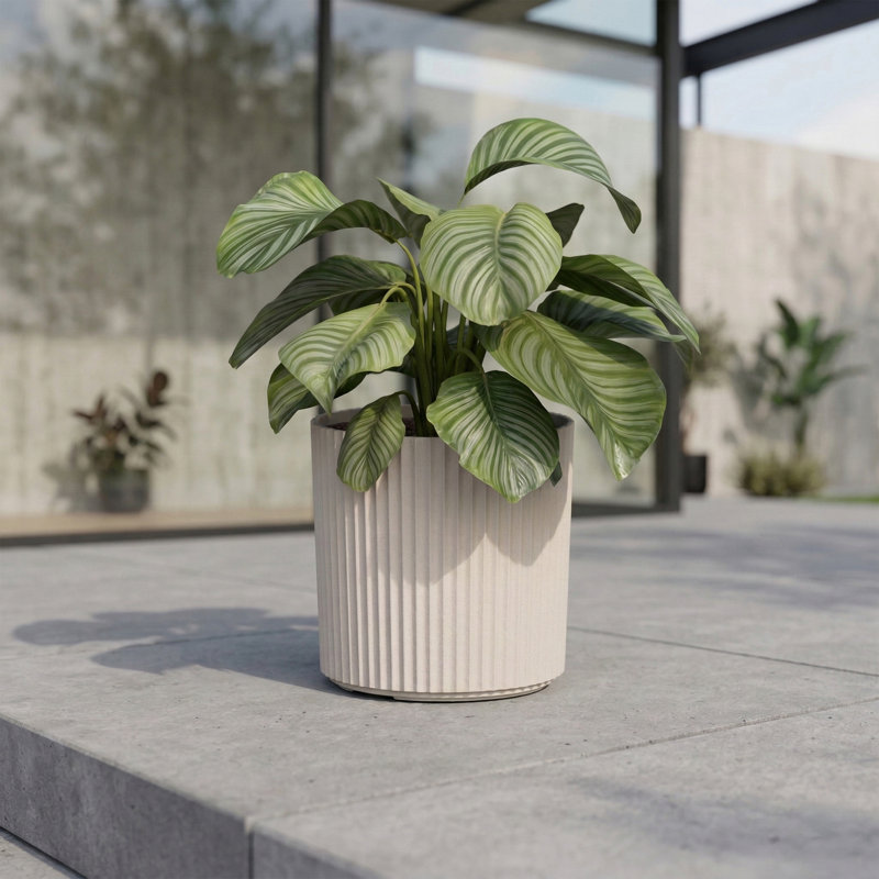 Byron Ribbed 10in Round Planter, 10" H x 10" W x 10" D, Cream