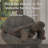 Gospodarczyk 30" Poly-Concrete Outdoor Tortoise Statue