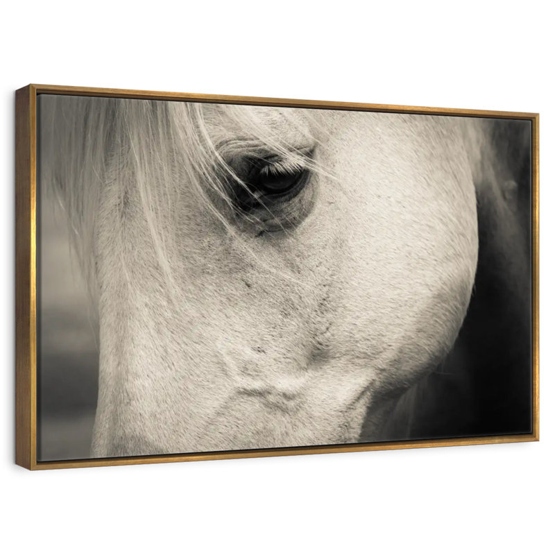 White Horse Eye, 46" X 31", Floating Frame Gold