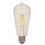 Ampoule DEL à intensité variable de 7 watts (équivalent à 60 watts), blanc chaud (2 700 K) / culot moyen (standard)