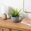 Indoor Cement Flower Pot Planter