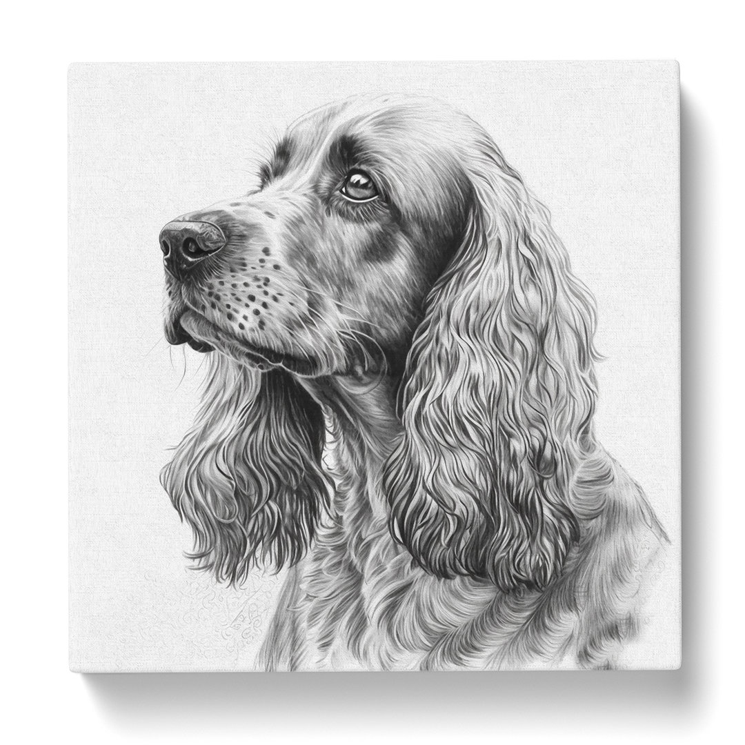 Cocker Spaniel Drawing - Wrapped Canvas