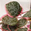 Hanging Plants 90cm Faux Plant in Planter