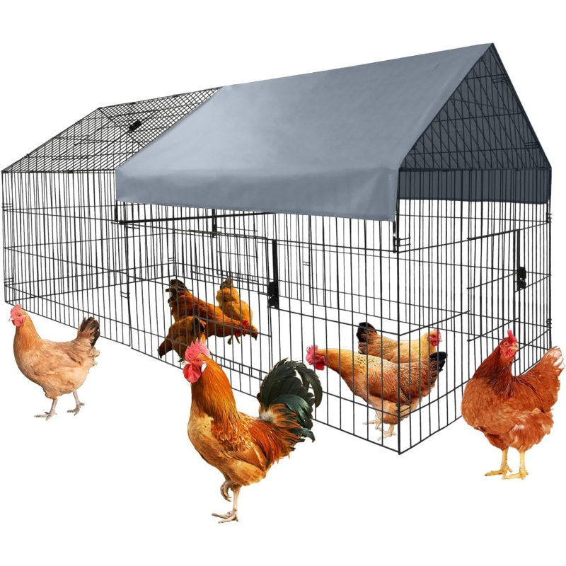 11m² Chicken Coop