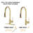 Topcraft Pull Down Single Handle Kitchen Faucet With Baseplate，Brushed Gold-102192996