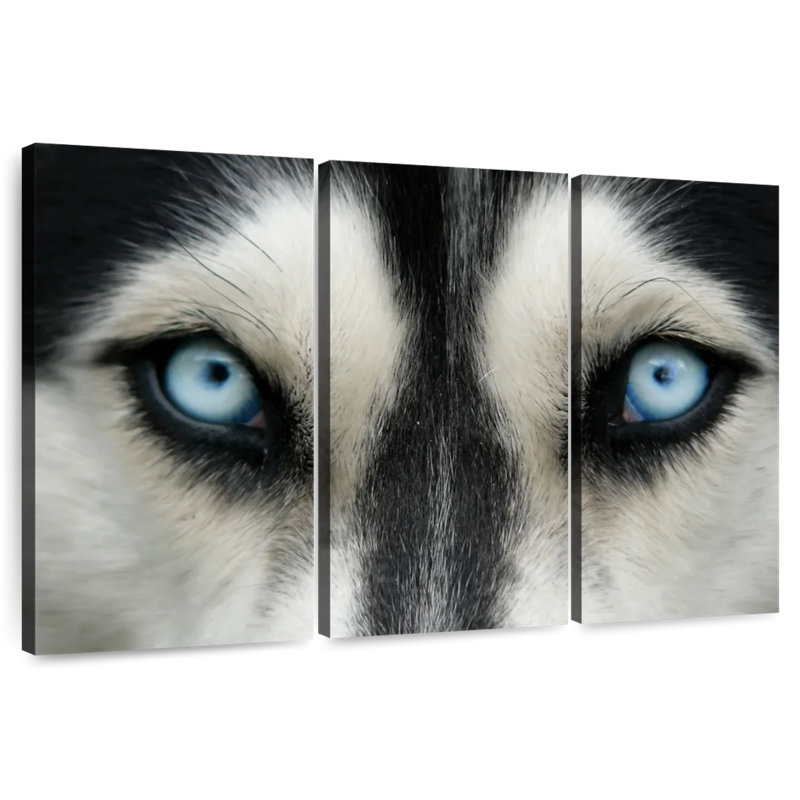 Brampt Sky Eyed Husky, 48" H x 74" W