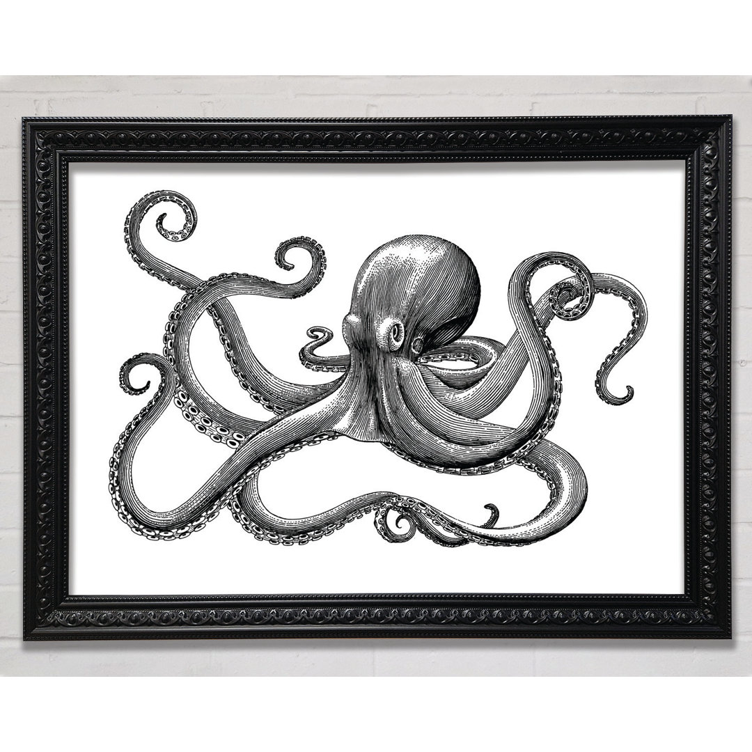 Oktopus Illustration - Einzelner Bilderrahmen Kunstdrucke