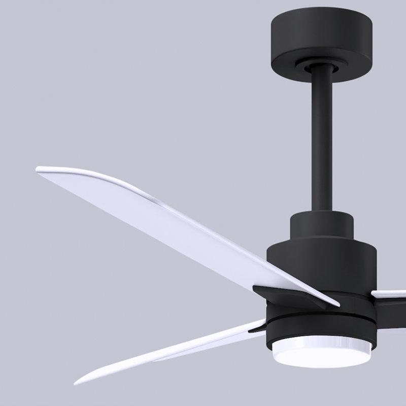 Alessandra - Three Blade Transitional Ceiling Fan -LED, Matte Black, 42", Matte White