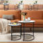 2 Piece Coffee Table Set-657791