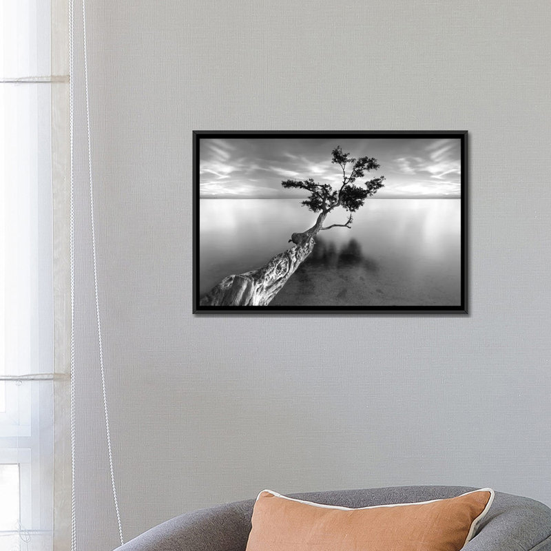 « Water Tree XIII », reproduction de photo sur toile tendue, Toile avec cadre noir, Pas de tapis