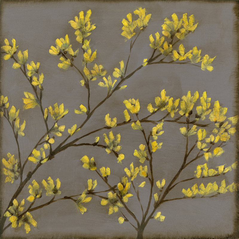 Forsythia I by Jennifer Goldberger - Wrapped Canvas Painting, 30cm H x 30cm W