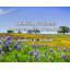 Artsy Quote "Thinking is itself, however, an adventure." By James V. Schall Gallery Wrapped Canvas-1499701796