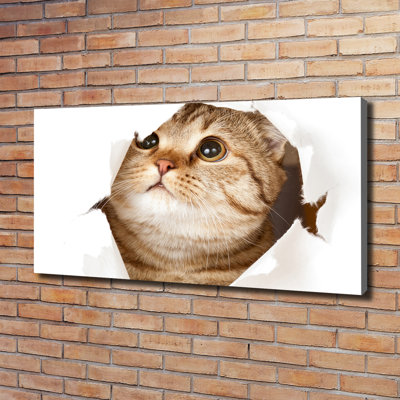 Cat - Wrapped Canvas Print