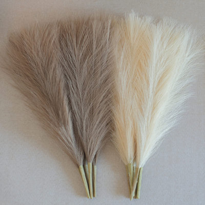 Atoll de 17 po Pampas
