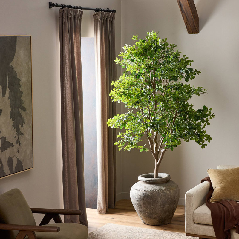 Faux Aralia Tree-Faux Aralia Tree-8', 94.5" H x 52" W
