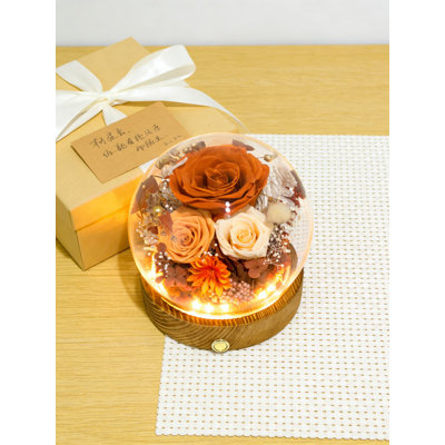 Fleurs préservées dans un dôme en verre avec lumières DEL, cadeau floral durable pour la décoration intérieure, anniversaire, mariage et toutes les occasions spéciales