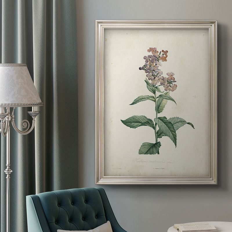 Traditional Botanical - reproduction de cadre photo sur toile, L 21 po x H 25 po