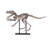 Dinosaur Skeleton Handmade Modern Landscape & Nature Resin Wall Decor