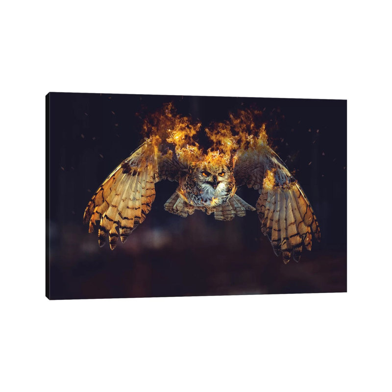 Owl On Fire by Paul Haag - Print on Canvas, 30.48 cm H x 45.72 cm W, Wrapped Canvas