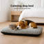 Orthopedic Polyester Pet Bed-1390587118