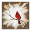 «Weathered Friends - Cardinal» par Britt Hallowell - impression sans cadre-1753343955