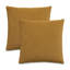 Gemma Velvet Square Pillow Cover & Insert-1449185799