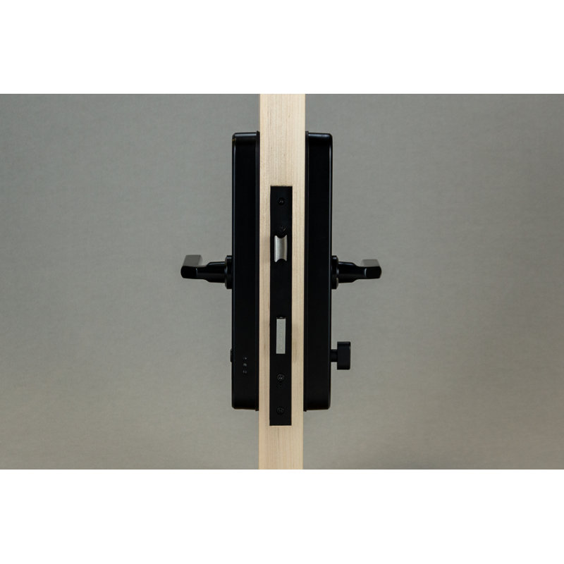 Commercial Smart Lock, Satin Black