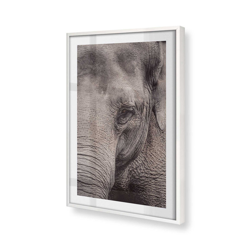 «Wise Gaze Print», dans un cadre,, H 25 po x l 19 po x P 1,25 po, Cadre opaque blanc
