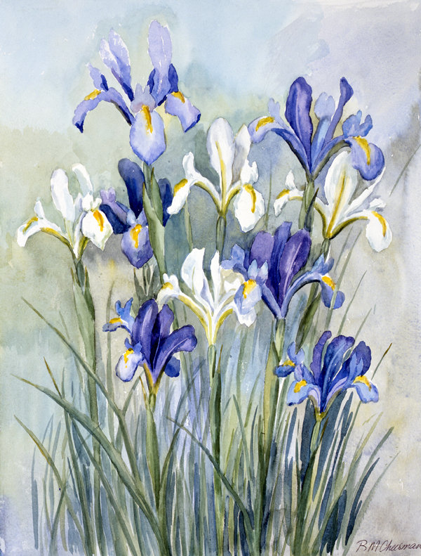 Drapeau de jardin Fereol Iris par Bettie Cheesman, H 15 po x l 11 po