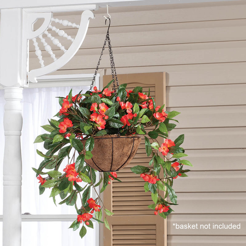OakRidge Impatiens Hanging Stem, Orange