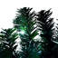 Sapin de Noël artificiel illuminé 6 pi