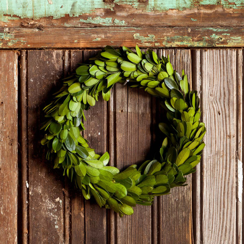 Preserved Boxwood 6" Greenery Wreath