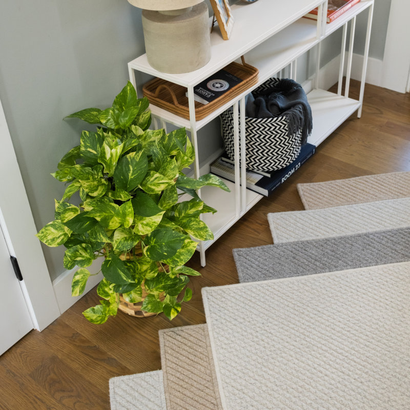 Tapis en laine naturel Delano, Rectangle 4 pi x 8 pi
