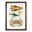 East Indies Lobster, Fish & Crab XLVII by Louis Renard - Picture Frame Graphic Art Print on MDF-55537057-55537058